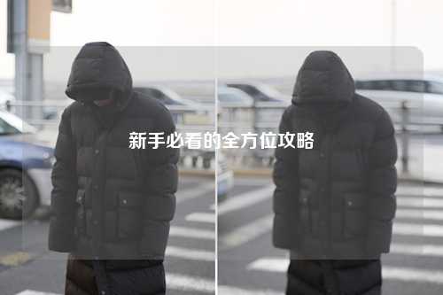 新手必看的全方位攻略